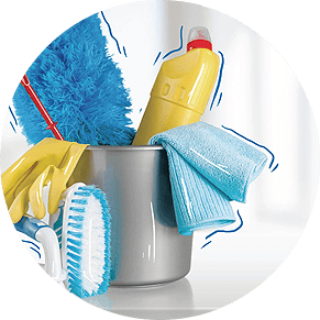 professional house cleaning services